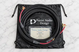 Purist Audio Design Genesis Luminist Revision