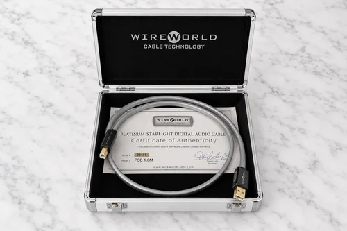 Wire World Platinum USB kabel 1.0m